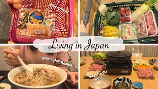 housewife daily of shopping at Daiso Seijyoishii Japan supermarket and shabushabu party 🎶 [upl. by Grevera]