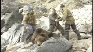 Grizzly Man death audio [upl. by Manheim]