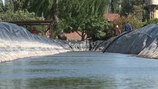 Reservorios para incrementar la eficiencia en el uso del agua [upl. by Nnaik]