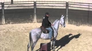 What To Do When Riding a Horse That Gets Out of Control [upl. by Garth]