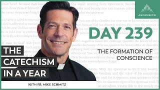 Day 239 The Formation of Conscience — The Catechism in a Year with Fr Mike Schmitz [upl. by Stutzman439]