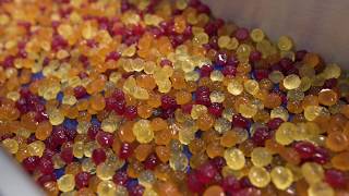 Making Gummy Vitamins From Ingredients to Final Product  Herbaland Gummies [upl. by Skill127]