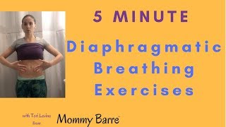 5 Minute Diaphragmatic Breathing Exercises For Your Core and Pelvic Floor [upl. by Sabian]