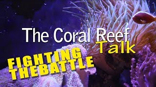 FIGHTING THE BATTLE REEF TANK UPDATES [upl. by Bussey]