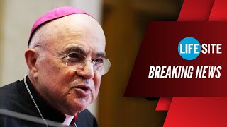 BREAKING Archbishop Viganò Accuses Pope Francis of Supporting quotDavos Elitesquot amp quotNew World Orderquot [upl. by Linzy]