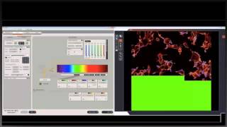 Basics of confocal laser scanning microscopy [upl. by Ailegna]