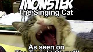 Monster the Singing Cat [upl. by Jeanne]