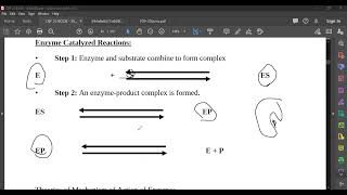 L15 Mechanism of Action of Enzymes [upl. by Tallbot]