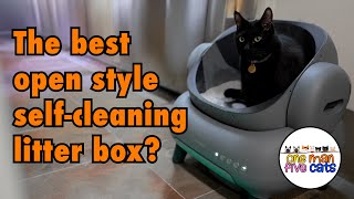 NEAKASA M1 SelfCleaning Litter Box Review [upl. by Vasti]