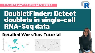 DoubletFinder Detect doublets in singlecell RNASeq data in R  Detailed workflow tutorial [upl. by Cj]