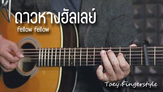 ดาวหางฮัลเลย์  FELLOW FELLOW Fingerstyle Guitar Cover TAB [upl. by Brady]