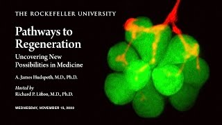 Pathways to Regeneration Uncovering New Possibilities in Medicine [upl. by Davon294]