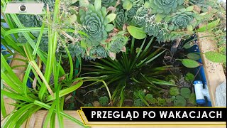 Projekt Balkon  Przegląd po Wakacjach [upl. by Wons]