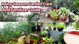 How To Care Your Garden During Rainy Season  Rainy Season Gardening Tips amp Fertilizer Guide [upl. by Lem]