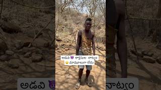 ఆఫ్రికా లో 🇹🇿 అడవి మనుషుల నాట్యం  Hadzabe Tribe Sing amp Dance Africa Tanzania Ram The Traveller [upl. by Htenywg982]