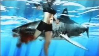 SHARK attacks man full SHARK play with human SHARK can kid manswim with shark [upl. by Merchant525]