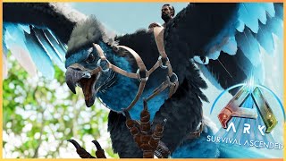 Cet Argentavis va me débloquer pleins de taming  ARK Ascended 3 [upl. by Klecka]