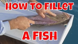 How to Fillet a Grouper and Catch Red Grouper in Key West Florida [upl. by Sande]