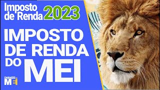 💰 COMO DECLARAR IMPOSTO DE RENDA SENDO MEI 2023 [upl. by Gallenz3]