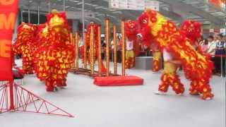 Chinese Dragon Dance Performance [upl. by Airahs]