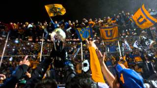 Himno Oficial De TIGRES UANL [upl. by Straus]