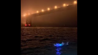 Amy Appelhans Gubser  Golden Gate Bridge to Farallon Islands swim [upl. by Anivol]