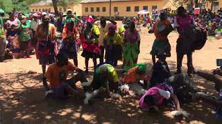 Chipinge holland traditional dance group [upl. by Annoya938]