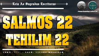 SALMOS 22  TEHILIM 22 [upl. by Sherj884]