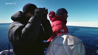 DOCUMENTAIRE  Expédition Antarctica  Sur les traces de lEmpereur HD [upl. by Eitsyrk]