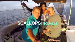 HOW amp WHERE TO CATCH SCALLOPS [upl. by Anjali]