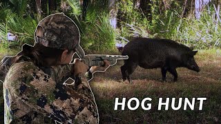 Hunting amp Cooking  WILD HOG in Florida [upl. by Nosiaj]