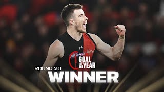 Merrett slots one from the impossible angle for Goal of the Year nomination  Round 20 2024  AFL [upl. by Mllly]