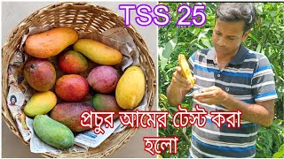 অচেনা বন্ধুদের দিয়ে আম টেস্ট করানো হলো  Arunima mango  King of Chakapat [upl. by Kartis]