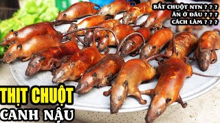 Thịt chuột Hà Nội  bí mật làng nghiện món ăn từ chuột nhất Việt Nam [upl. by Damas]