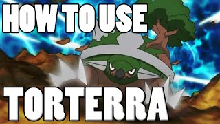 How To Use Torterra Torterra Moveset  Pokemon Omega Ruby and Alpha Sapphire  XampY Guide [upl. by Johansen]