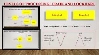 UNIT 4 MODELS OF INFORMATIONPROCESSING Part 2 [upl. by Salb]