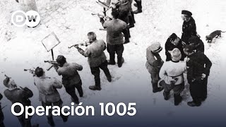 Cómo los nazis borraron sus crímenes  DW Documental [upl. by Zoara]