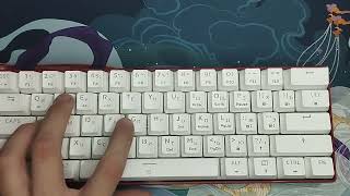 DEXP Tanto WRS typing [upl. by Lidaa609]