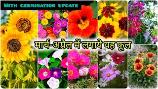 मार्च अप्रैल में लगाये इन् फूलों को  Top 20 Summer flowering plants From seed To saplings update [upl. by Errol]