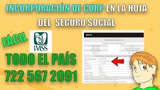 CÓMO REALIZAR INCORPORACIÓN DE CURP EN EL NÚMERO DE SEGURO SOCIAL TODO EL PAÍS [upl. by Ardnazil644]