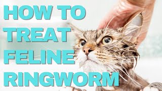 How to Treat Feline Ringworm Fast [upl. by Chrysa492]