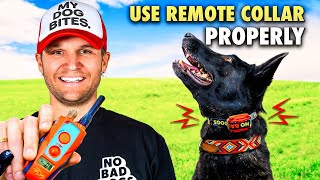 E collar training for beginnersHow to train a dog using the remote collar [upl. by Smart284]