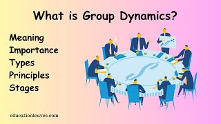 What is Group dynamics  Meaning Types Importance Stages [upl. by Arakal]