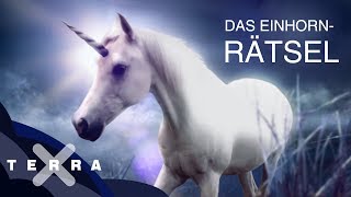 Woher stammt der EinhornMythos  Terra X [upl. by Linnea407]