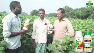 మొక్క ఎదుగుదల మరియు కాయ సైజు చాలా బావుంది అంటున్న రైతన్న  SUPREME  HIRESULT  OZOGROUP [upl. by Accemahs]