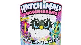 Hatchimals Hatchibabies Ponette Unboxing Toy Review [upl. by Thanos]