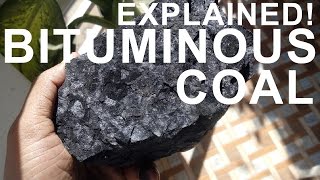 How coal is formed  Practically demonstration [upl. by Yentruoc555]