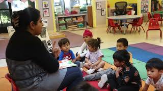 Raccoon Theme Week at Yang Fan Preschool  Fun and Learning with Raccoons [upl. by Droc]