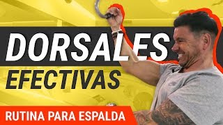 5 Mejores Ejercicios De Dorsales  Rutina De Entrenamiento [upl. by Nowtna177]