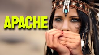 APACHE HARMONICA  C DIATONIC  ARMÓNICA C TABS BLUES HARP C GAITA DE BOCA C MUNDHARMONIKA C [upl. by Aimerej926]